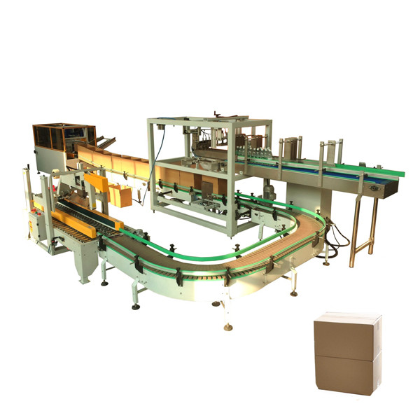 Wrap-around Case Packer