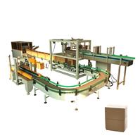 Carton Erecting Carting Sealing Machine